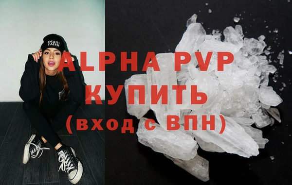 стаф Аркадак