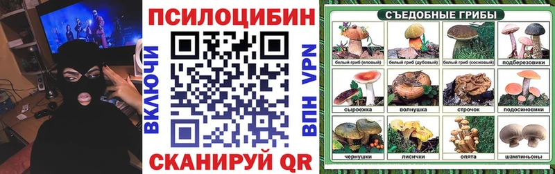 купить закладку  блэк спрут как войти  Галлюциногенные грибы мухоморы  Белинский 